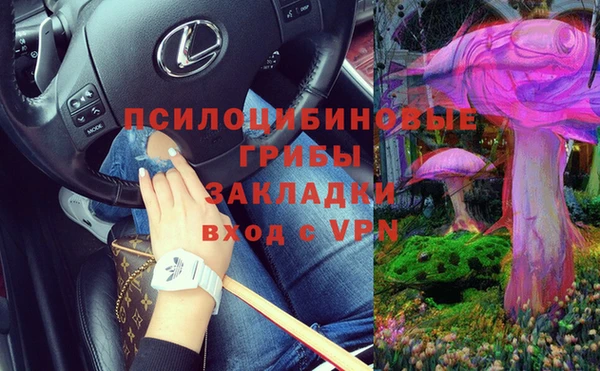 бутират Алексин