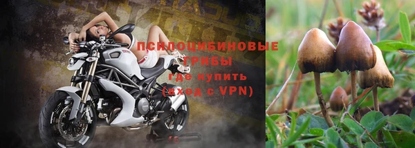 бутират Алексин