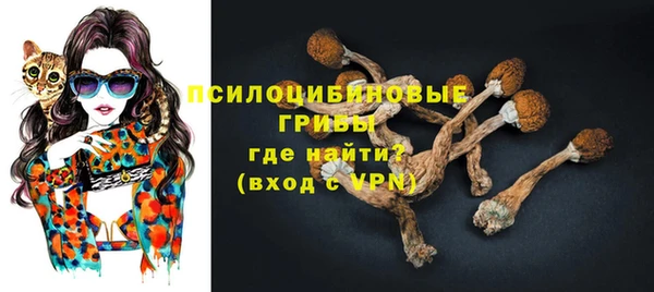 бутират Алексин