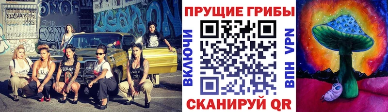 купить наркотик  Калач-на-Дону  Галлюциногенные грибы Psilocybine cubensis 