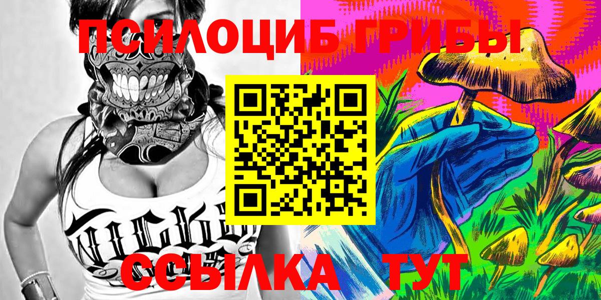 Псилоцибиновые грибы Psilocybe Калач-на-Дону