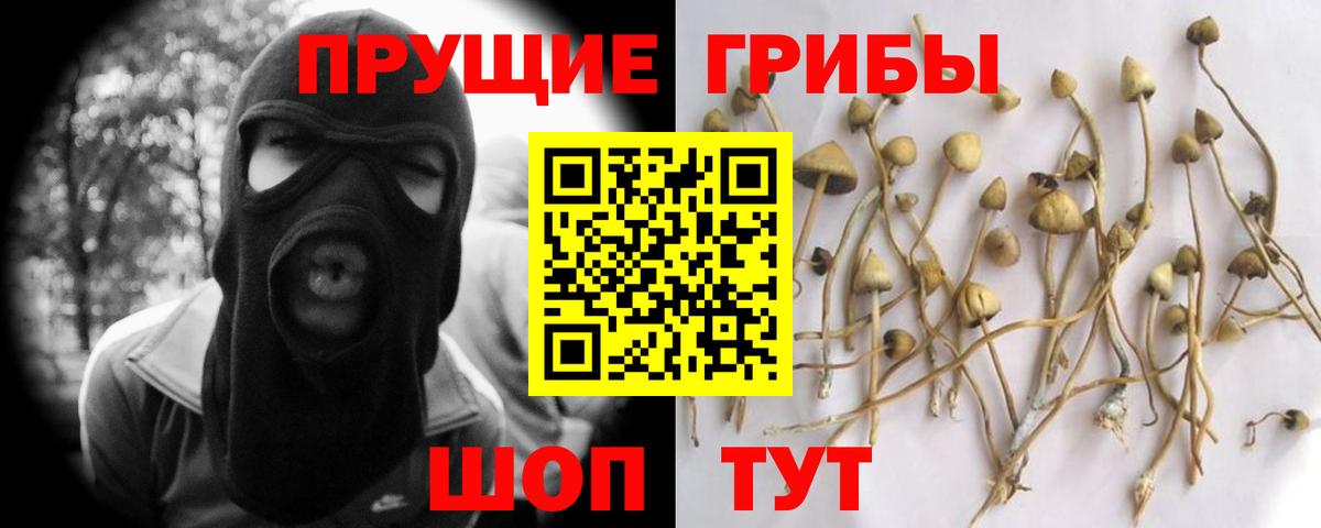 Калач-на-Дону  Псилоцибиновые грибы ЛСД  Псилоцибиновые грибы Magic Shrooms  Вход с VPN 