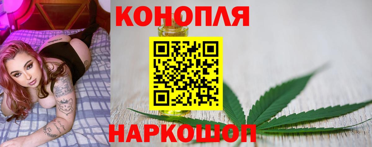 Бошки Шишки гибрид Калач-на-Дону